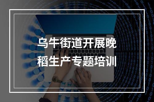 乌牛街道开展晚稻生产专题培训