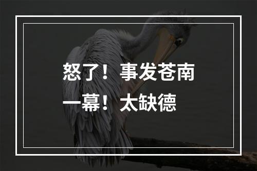 怒了！事发苍南一幕！太缺德