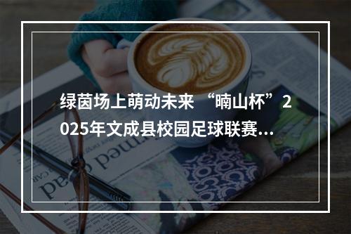 绿茵场上萌动未来 “暔山杯”2025年文成县校园足球联赛开举行