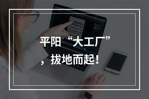 平阳“大工厂”，拔地而起！