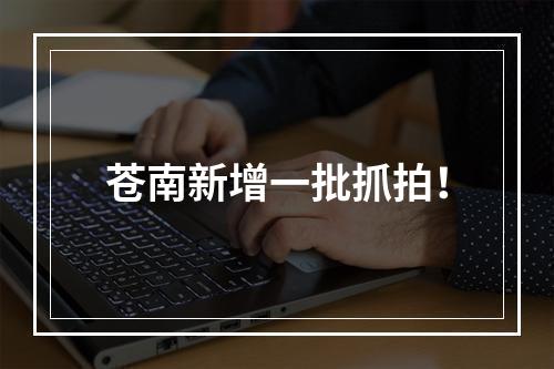 苍南新增一批抓拍！