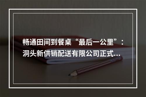 畅通田间到餐桌“最后一公里”：洞头新供销配送有限公司正式开业