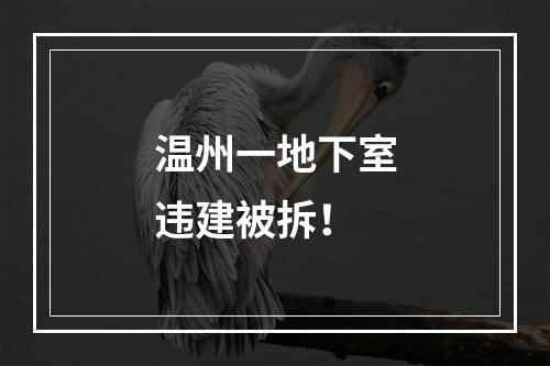 温州一地下室违建被拆！