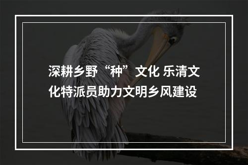 深耕乡野“种”文化 乐清文化特派员助力文明乡风建设