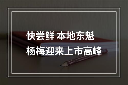 快尝鲜 本地东魁杨梅迎来上市高峰