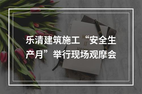 乐清建筑施工“安全生产月”举行现场观摩会