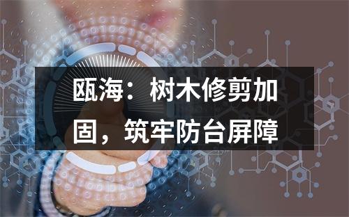 瓯海：树木修剪加固，筑牢防台屏障