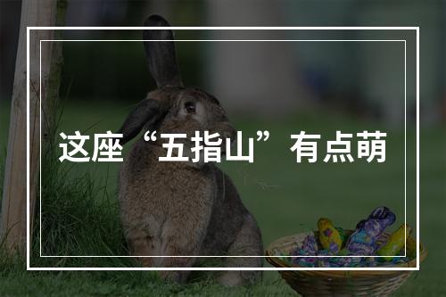 这座“五指山”有点萌