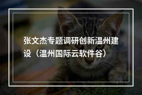 张文杰专题调研创新温州建设（温州国际云软件谷）