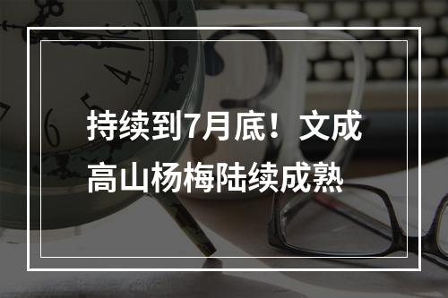 持续到7月底！文成高山杨梅陆续成熟