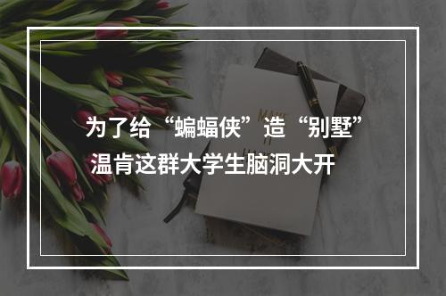 为了给“蝙蝠侠”造“别墅” 温肯这群大学生脑洞大开
