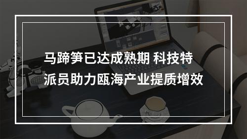 马蹄笋已达成熟期 科技特派员助力瓯海产业提质增效