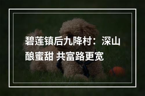 碧莲镇后九降村：深山酿蜜甜 共富路更宽