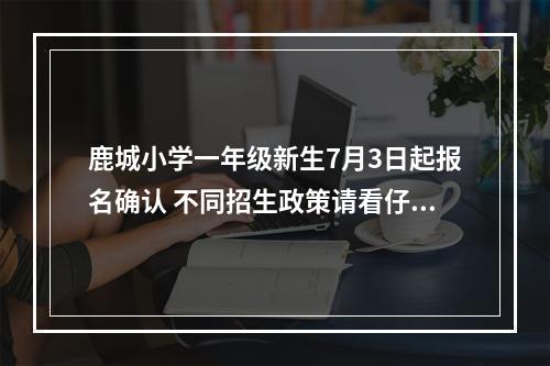 鹿城小学一年级新生7月3日起报名确认 不同招生政策请看仔细