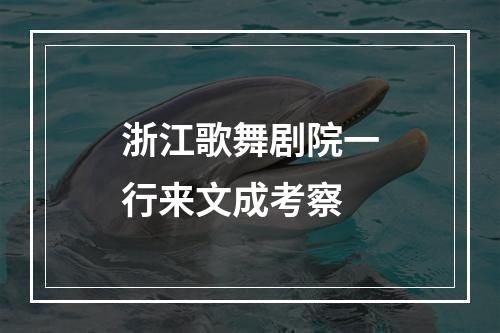 浙江歌舞剧院一行来文成考察