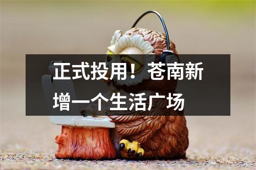 正式投用！苍南新增一个生活广场