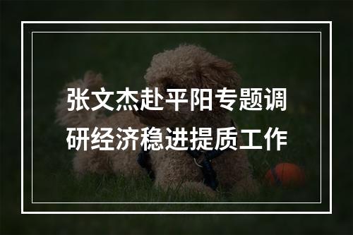 张文杰赴平阳专题调研经济稳进提质工作