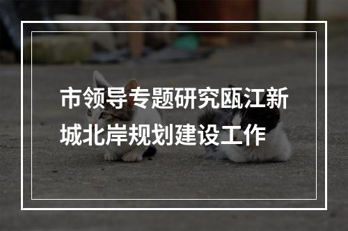 市领导专题研究瓯江新城北岸规划建设工作