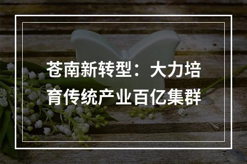 苍南新转型：大力培育传统产业百亿集群