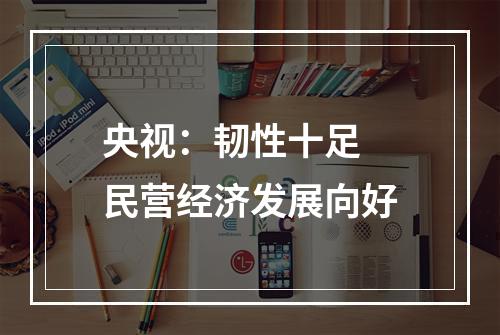 央视：韧性十足 民营经济发展向好