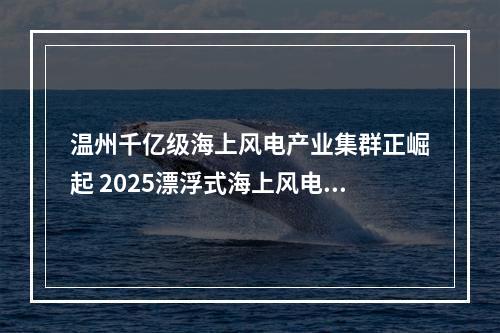 温州千亿级海上风电产业集群正崛起 2025漂浮式海上风电大会侧记
