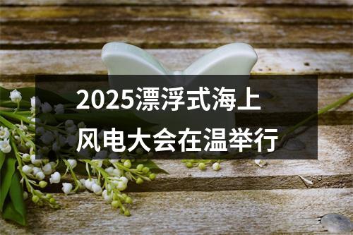 2025漂浮式海上风电大会在温举行