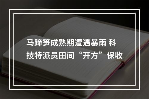 马蹄笋成熟期遭遇暴雨 科技特派员田间“开方”保收