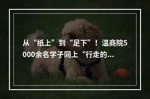 从“纸上”到“足下”！温商院5000余名学子同上“行走的思政课”