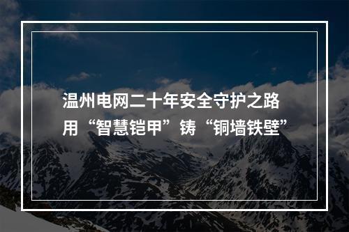 温州电网二十年安全守护之路 用“智慧铠甲”铸“铜墙铁壁”