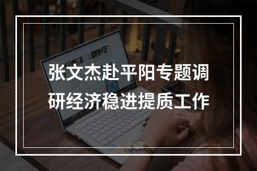 张文杰赴平阳专题调研经济稳进提质工作