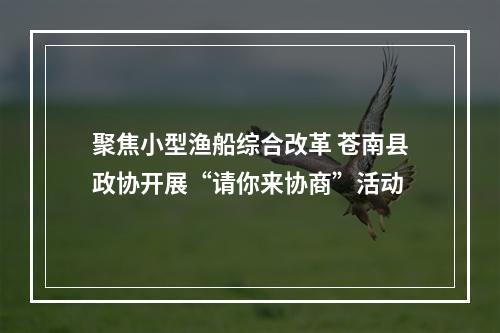 聚焦小型渔船综合改革 苍南县政协开展“请你来协商”活动