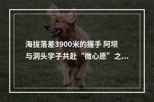 海拔落差3900米的握手 阿坝与洞头学子共赴“微心愿”之约