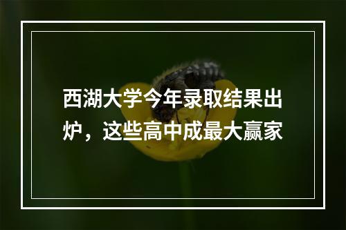 西湖大学今年录取结果出炉，这些高中成最大赢家