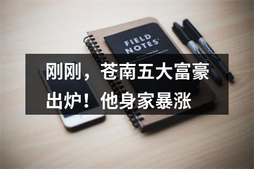 刚刚，苍南五大富豪出炉！他身家暴涨