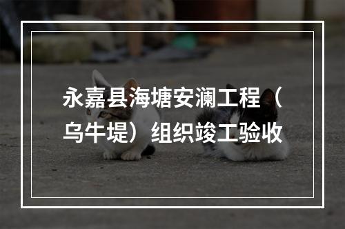 永嘉县海塘安澜工程（乌牛堤）组织竣工验收