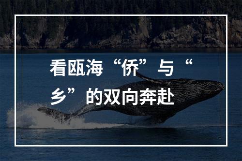 看瓯海“侨”与“乡”的双向奔赴