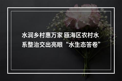 水润乡村惠万家 瓯海区农村水系整治交出亮眼“水生态答卷”