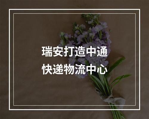 瑞安打造中通快递物流中心