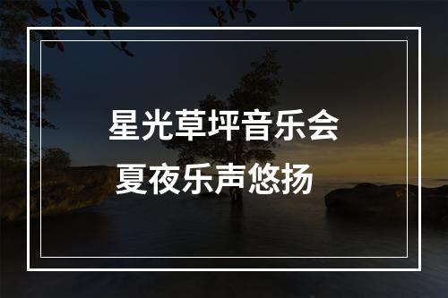 星光草坪音乐会 夏夜乐声悠扬