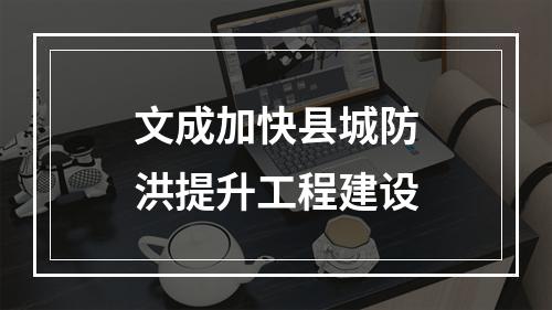 文成加快县城防洪提升工程建设