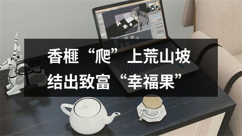 香榧“爬”上荒山坡 结出致富“幸福果”