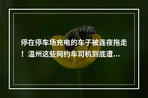 停在停车场充电的车子被连夜拖走！温州这些网约车司机到底遭遇了什么
