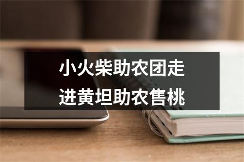 小火柴助农团走进黄坦助农售桃