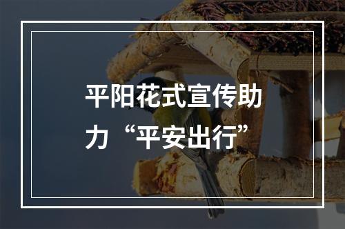 平阳花式宣传助力“平安出行”