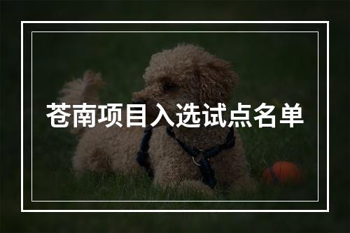 苍南项目入选试点名单