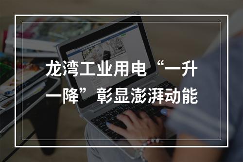 龙湾工业用电“一升一降”彰显澎湃动能