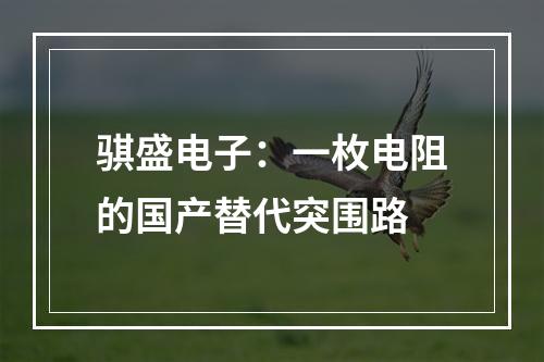 骐盛电子：一枚电阻的国产替代突围路