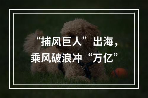 “捕风巨人”出海，乘风破浪冲“万亿”