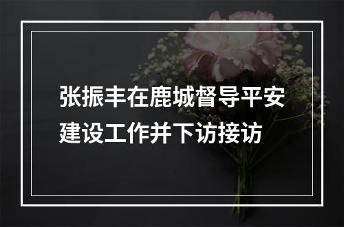 张振丰在鹿城督导平安建设工作并下访接访