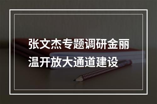 张文杰专题调研金丽温开放大通道建设